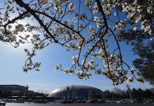 �Y�ψD�������L(zh��ng)����߅���{(l��n)���µ����m��ӭ�L(f��ng)ŭ�š����A��ӛ�� �_�Թ� �z