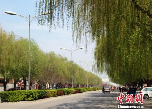 �D�鰲�¿h������ֽ־����ڿ��� �z