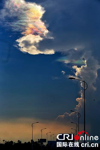 19�հ����������Ĳ��l(f��)����Ͽ�ͻ�@���������������v���Ĕz���Ĳ��������� �zӰ ��x