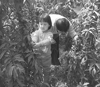 ɽ�����_(t��i)�h�(y��ng)�״壺��á�ѭ�h(hu��n)��(j��ng)�� Óؚ�ɘ�(bi��o)�U