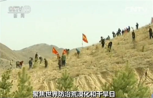 ��ɳ��ɳ�Ĺ����ˆT