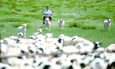 �D(zhu��n)�Ͱl(f��)չ����o(w��)���L(f��ng)�ⱼ�v��ȥ