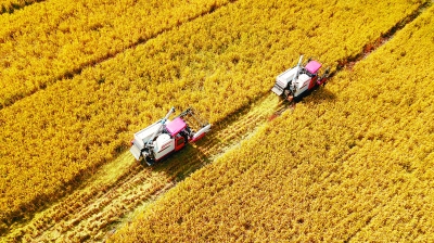 ���I(l��ng)�������̡����I(l��ng)Ⱥ����Ɍ��� �������^�üt�t���