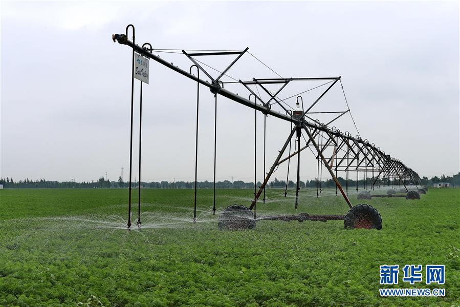 (中國經濟新時代·圖文互動)(1)穩(wěn)中向好開新篇——黨的十八大以來我國“三農”發(fā)展成就綜述