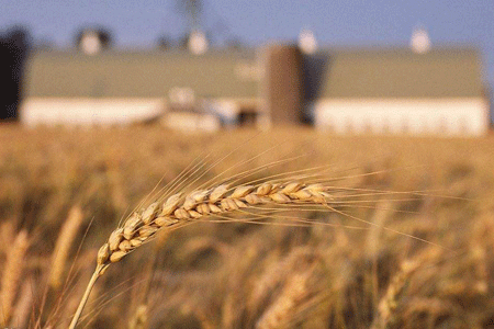 �����ϾW(w��ng)�����x��ʮ�Ŵ󡿌��F(xi��n)С�r(n��ng)���ͬF(xi��n)���r(n��ng)�I(y��)�l(f��)չ�ЙC㕽�