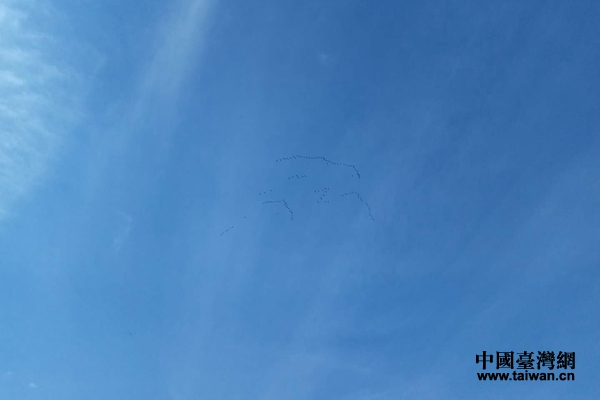 һȺ�����ųɡ��ˡ�����������(g��)���ˡ����нM�ɡ��������ڼo(j��)���^�Ͽ��w�^��