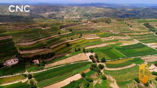 ������(x��)�� ��(x��)��ƽ�ɕ���䡡������ú�ɽ