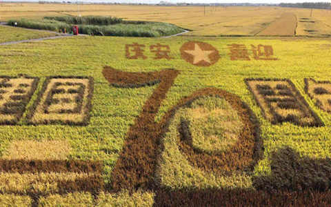 ���r���|�����d�����������������ء����r(n��ng)�I(y��)�F(xi��n)�������O���I����