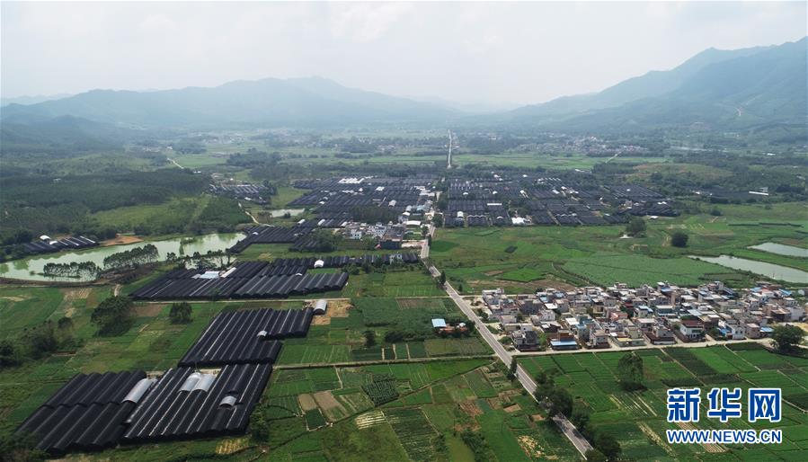 ��������ƽ�r���Ї���ɫ������x˼��ָ���¡����r����������ƪ�¡�����ӛ�P(gu��n)�ĵİ�����߅�¡��D�Ļ��ӣ���1�����Ƽ���š��o��Ұ������ϣ��