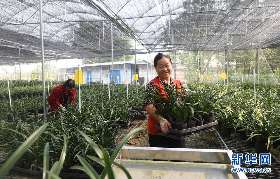 ��������ƽ�r���Ї���ɫ������x˼��ָ���¡����r����������ƪ�¡�����ӛ�P(gu��n)�ĵİ�����߅�¡��D�Ļ��ӣ���2�����Ƽ���š��o��Ұ������ϣ��