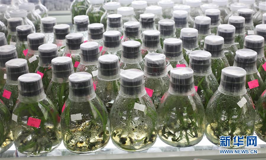 ��������ƽ�r���Ї���ɫ������x˼��ָ���¡����r����������ƪ�¡�����ӛ�P(gu��n)�ĵİ�����߅�¡��D�Ļ��ӣ���3�����Ƽ���š��o��Ұ������ϣ��