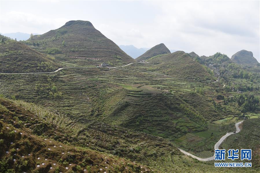 (決戰(zhàn)決勝脫貧攻堅(jiān)·圖文互動(dòng))(1)逐項(xiàng)逐戶排查補(bǔ)齊脫貧攻堅(jiān)“短板”——貴州晴隆縣扶貧一線工作見聞