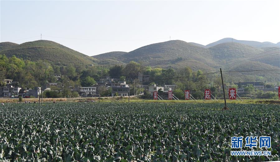 (決戰(zhàn)決勝脫貧攻堅(jiān)·圖文互動(dòng))(2)逐項(xiàng)逐戶排查補(bǔ)齊脫貧攻堅(jiān)“短板”——貴州晴隆縣扶貧一線工作見聞