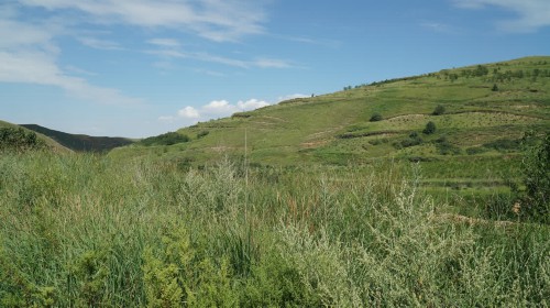 寧夏海原:破解土豆增收的生態(tài)“密碼”