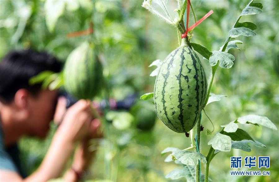 �����Aȫý�^�l�������҂���С������D�Ļ���(d��ng)����10���Ҹ�С���뮋�������R��������LС���®���