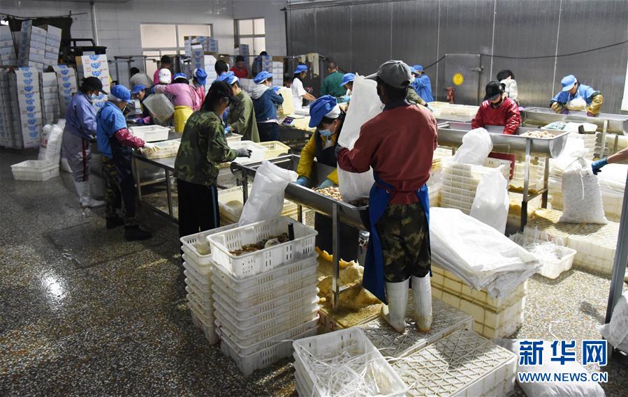 �����Aȫý�^�l�������҂���С������D�Ļ���(d��ng)����3���Ҹ�С���뮋�������R��������LС���®���