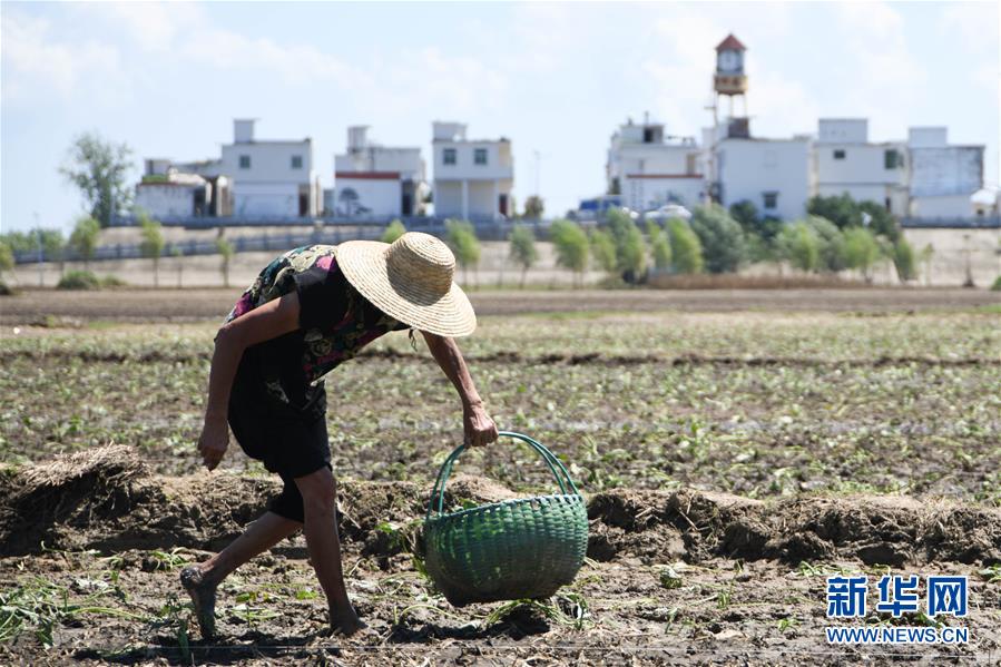 ������(x��)��ƽ�r���Ї���ɫ������x˼��ָ���¡����r����������ƪ�¡���(x��)��ƽ����ӛ�P(gu��n)���¡��D�Ļ��ӣ���1��һ�О������񡪡�����ȫ����Ѵ�Ȟ�(z��i)ȡ���A�����ش����֮�r