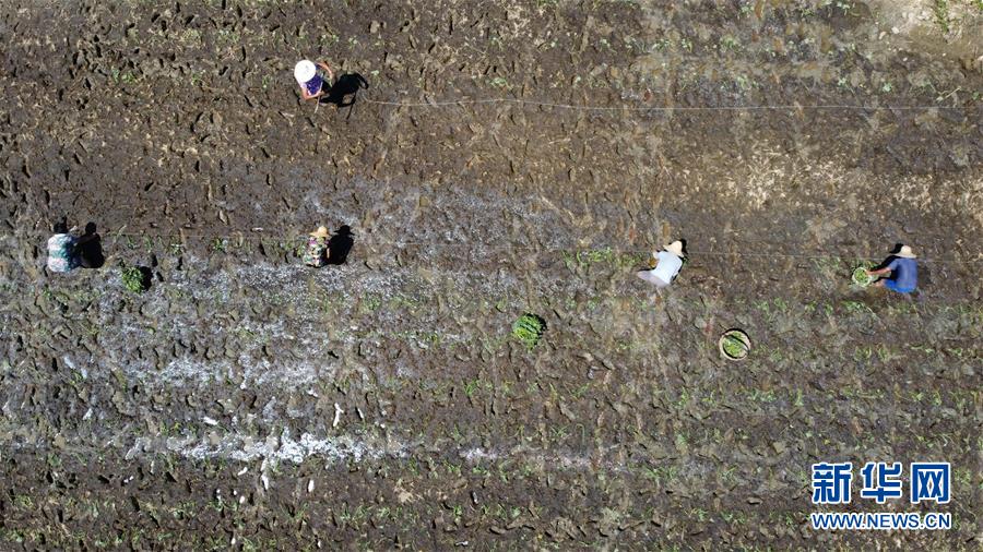 ������(x��)��ƽ�r���Ї���ɫ������x˼��ָ���¡����r����������ƪ�¡���(x��)��ƽ����ӛ�P(gu��n)���¡��D�Ļ��ӣ���8��һ�О������񡪡�����ȫ����Ѵ�Ȟ�(z��i)ȡ���A�����ش����֮�r