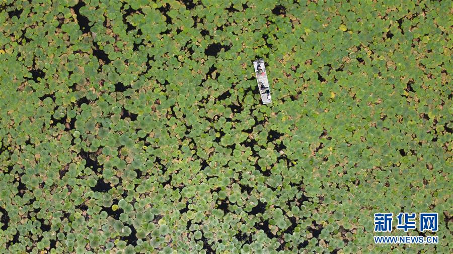 ������(x��)��ƽ�r���Ї���ɫ������x˼��ָ���¡����r����������ƪ�¡���(x��)��ƽ����ӛ�P(gu��n)���¡��D�Ļ��ӣ���12��һ�О������񡪡�����ȫ����Ѵ�Ȟ�(z��i)ȡ���A�����ش����֮�r