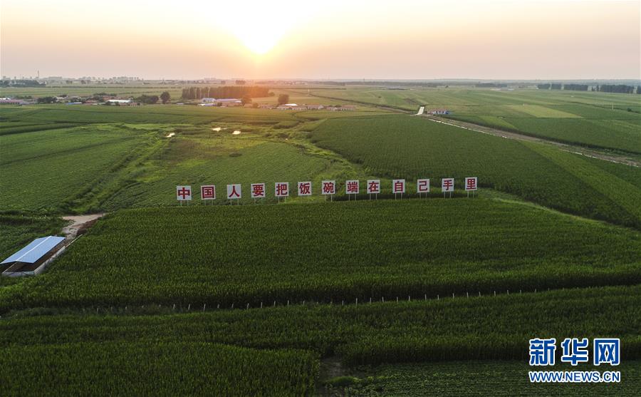 �����Aȫý�^�l���D�Ļ��ӣ���6����F(xi��n)���r(n��ng)�I(y��)̽��·�������Լ���������Ұ���