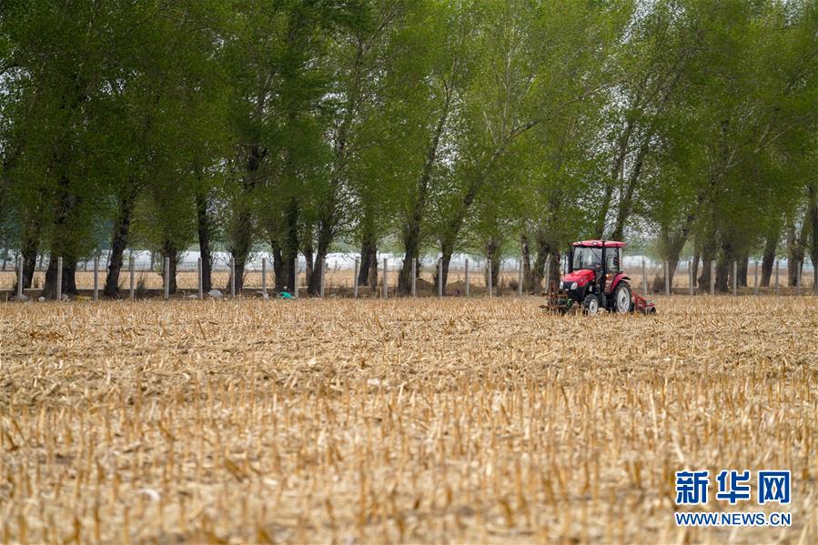 �����Aȫý�^�l���D�Ļ��ӣ���9����F(xi��n)���r(n��ng)�I(y��)̽��·�������Լ���������Ұ���