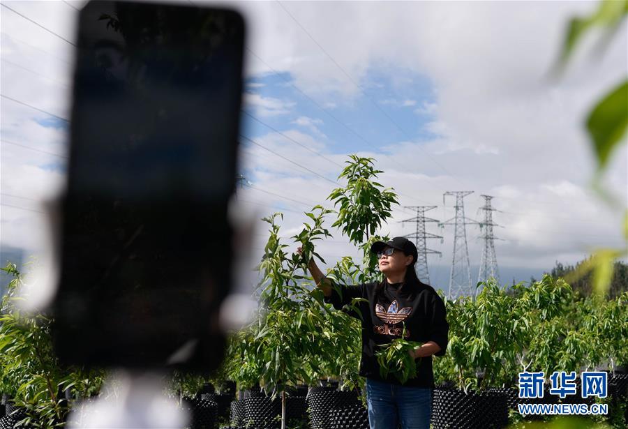 ���Q��(zh��n)�Q��Óؚ����(ji��n)������(zh��n)δժñؚ���h���D�Ļ���(d��ng)����4��12000����(g��)����N���c(di��n)�����ɽ