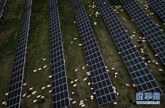 �����Aȫý�^�l�������҂���С������Q��(zh��n)�Q��Óؚ����(ji��n)���D�Ļ���(d��ng)����3����ԭ�Ͼ`�ŵĹ�â������(l��i)���ຣ�������ؚ�������Ĺ���