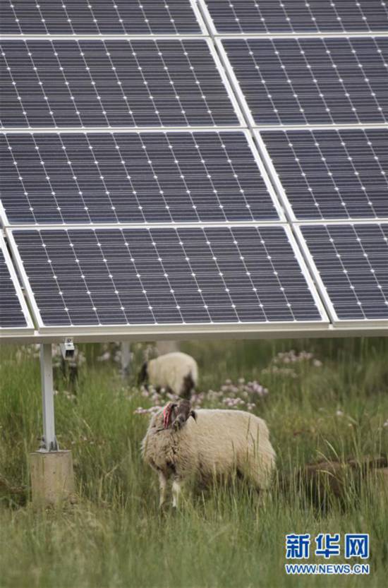 �����Aȫý�^�l�������҂���С������Q��(zh��n)�Q��Óؚ����(ji��n)���D�Ļ���(d��ng)����5����ԭ�Ͼ`�ŵĹ�â������(l��i)���ຣ�������ؚ�������Ĺ���