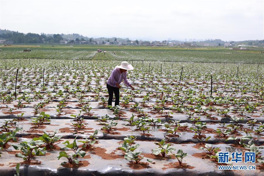 �����Aȫý�^�l�������҂���С������Q��(zh��n)�Q��Óؚ���ԡ��D�Ļ��ӣ���3��ǧ��֮�ʽ񳯽⡪���F��ؚ��Ⱥ�����F(xi��n)����ˮ���