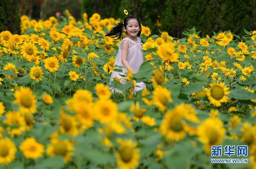 �����Aȫý�^�l���D�Ļ���(d��ng)����3�����p��(ji��)��ϲ��� һ�Ӽ҇�(gu��)�顪��ȫ��(gu��)���ؚg�ȇ�(gu��)�c����ѹ�(ji��)����