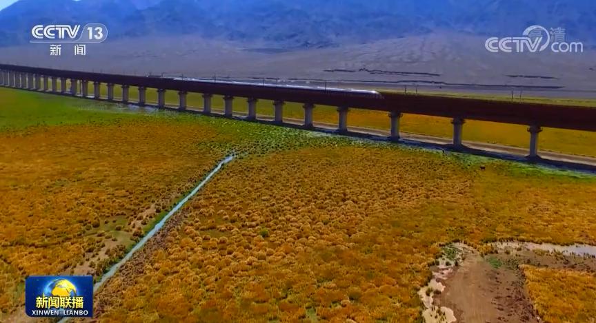 �m�¸��F����ҕ���͑��� �D