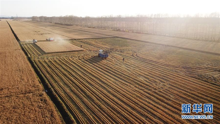 ����(j��ng)������1��������}������æ