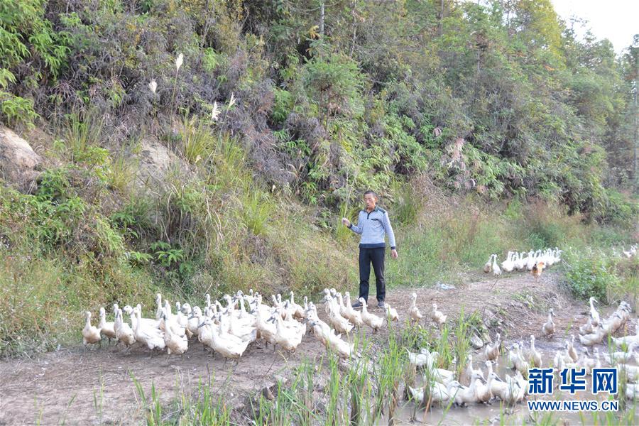 ���Q��(zh��n)�Q��Óؚ����(ji��n)���D�Ļ���(d��ng)����2���}�������ġ��_ˮͨÓؚӛ