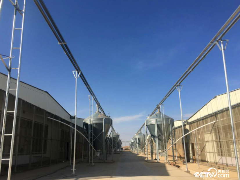 λ�ھ�̩�h�ݸC���(zh��n)�½�������i�a(ch��n)�I(y��)���(xi��ng)Ŀ