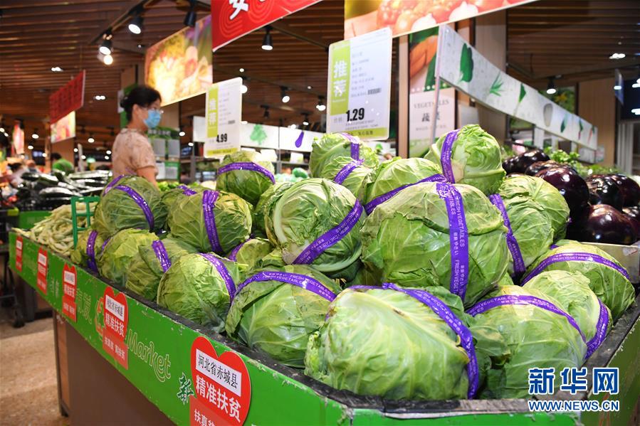 �����Aȫý�^�l������ȫ��(hu��)�����ڻ��ӡ��D�Ļ���(d��ng)����10������ȥ���򼽿����f(xi��)ͬ�l(f��)չ����