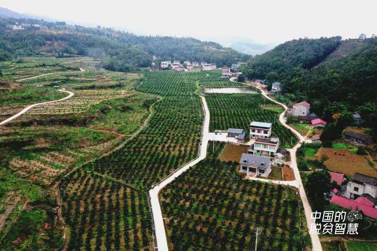 柳河村航拍(四川新聞網(wǎng)供圖)