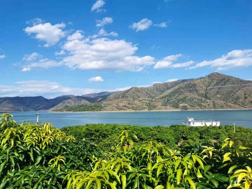 �Aƺ����(n��i)��â���Nֲ�@�^(q��)���������f(xi��)�W(w��ng)ӛ�� ����(qi��ng) �z