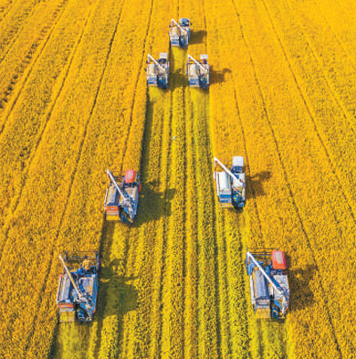 2.3%���˲���������L(zh��ng)������(j��ng)��(j��)�·�λ2020��ô����