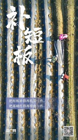  �@�����˲�Ŀ�����E���l(f��)�����Ї���