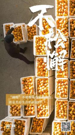  �@�����˲�Ŀ�����E���l(f��)�����Ї���