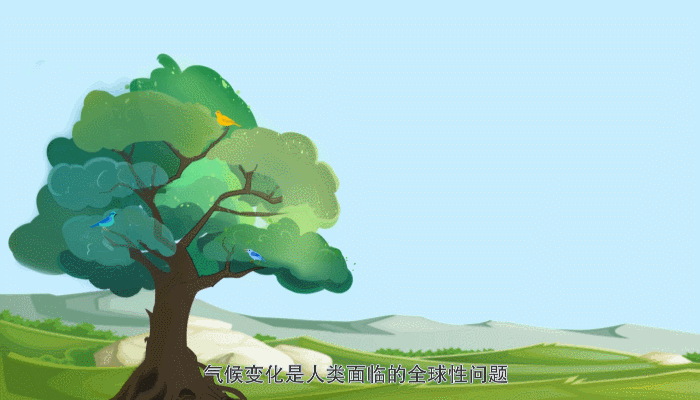 ���� | ����������(b��o)�����ᵽ�ġ�̼�_(d��)����̼�к͡���ʲô��