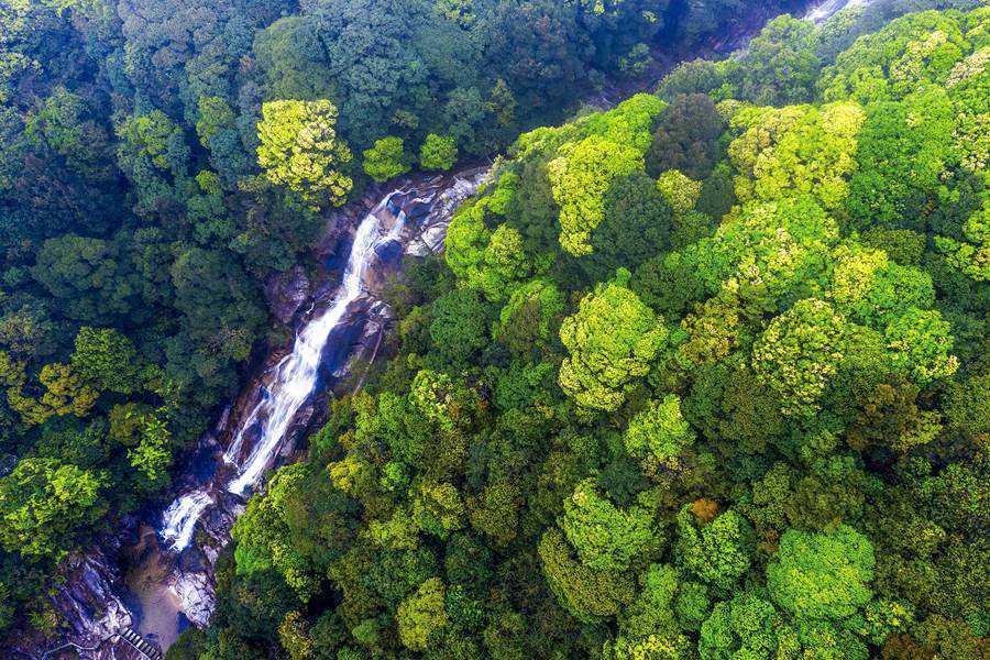 ����ʡ���r����ƽ��Ұɽ�����w�١��S���z