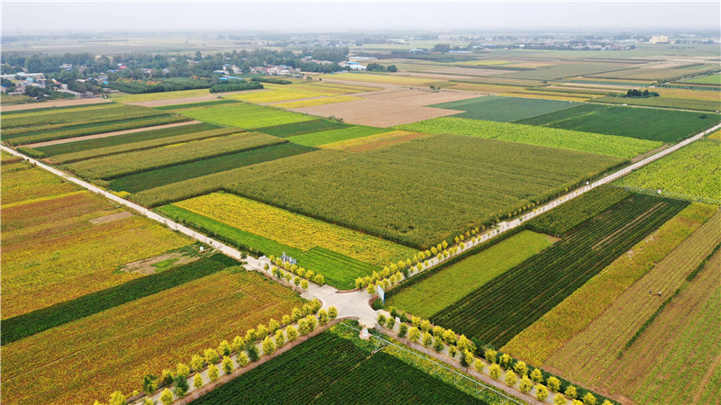 �҇���ԭ�r���؅^(q��)��ò