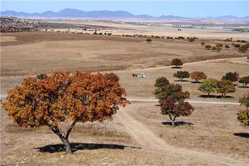 �҇����������؅^(q��)��ò ë��܊/�z