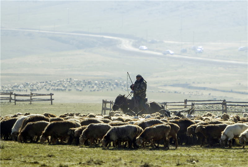 �½�����������D��