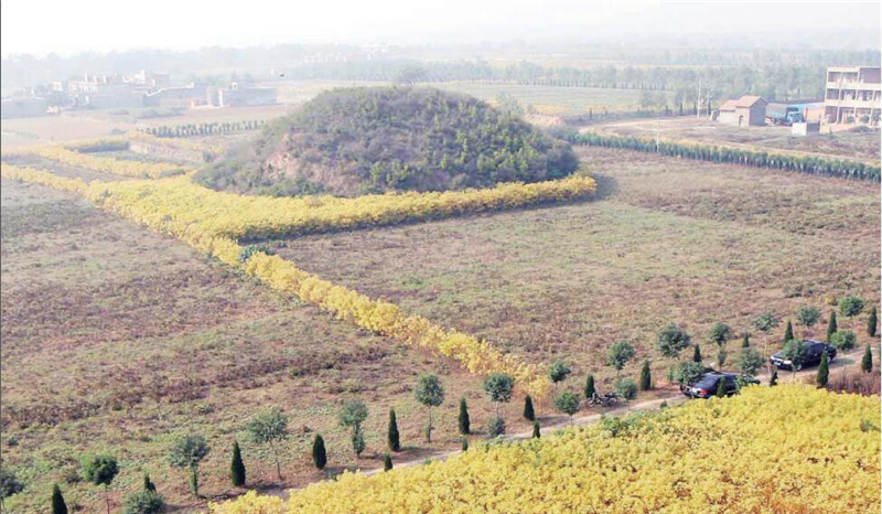 λ�ں�����ꖵı�κТ�ĵ��L��