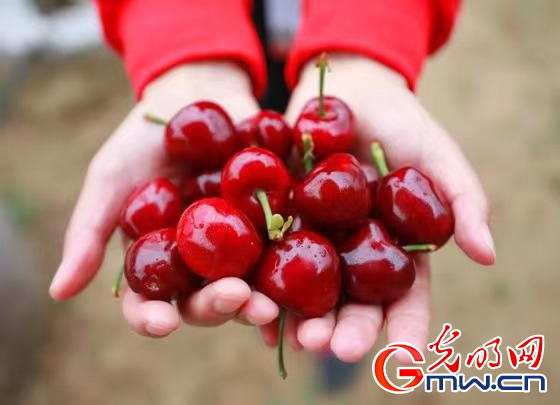 �����@���x������ʹ�������W(w��ng)�j(lu��)ý�w�����υ^(q��)�С��Ӱ����L��ʢ��F(xi��n)���r(n��ng)�I(y��)ʾ���@����������¸�·