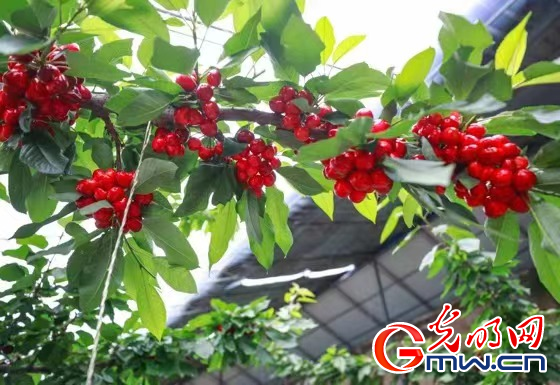 �����@���x������ʹ�������W(w��ng)�j(lu��)ý�w�����υ^(q��)�С��Ӱ����L��ʢ��F(xi��n)���r(n��ng)�I(y��)ʾ���@����������¸�·