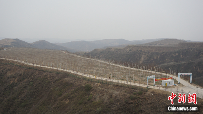 ���ʡ�Ӱ��а����^(q��)�ߘ��(zh��n)�Ϝϴ����B(t��i)ʾ���@�� <a target='_blank'  ><p  align=