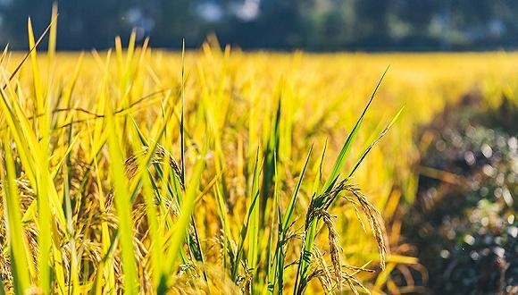 �������ٿ��Ї�حÿһ�ۣ����ǽ^������